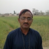 Yasir Fareed