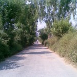 Road to Pindsultani